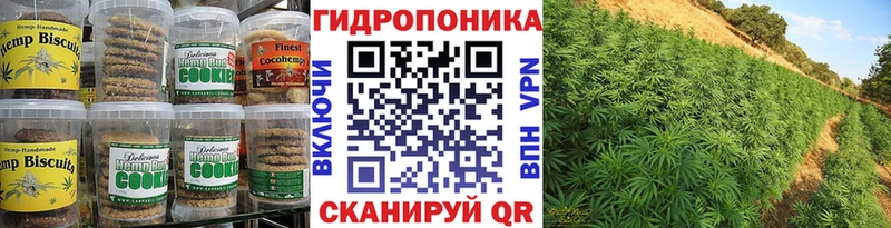 Canna-Cookies марихуана  Купить закладки  Медвежьегорск 