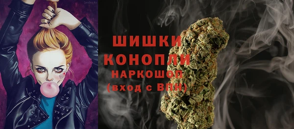 дживик Карпинск