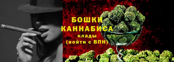 дживик Карпинск